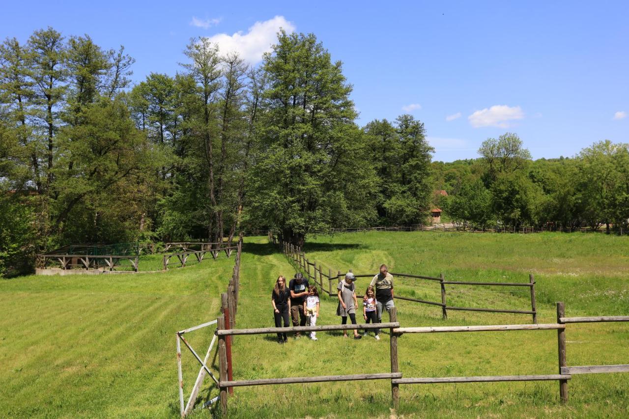 Amigosranch Villa Krusevac Exterior photo